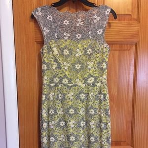 Maggy London Dress